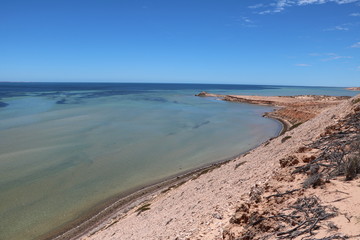 Fototapeta na wymiar Shark Bay region in Western Australia