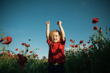 Happy child plays with flowers in poppy field. Summer. Rest in the village. Nature.