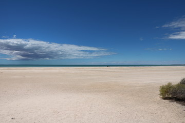 Shell Beach in the Shark Bay region, Western Australia