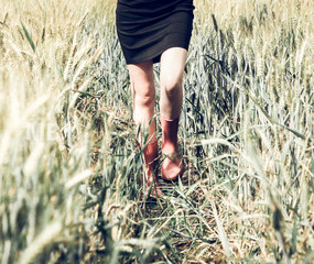 walk in the fields