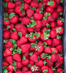 box of strawberries crobnik plan
