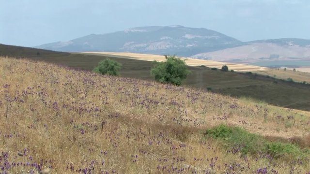 Mount tabor landscape, Galilee Israel