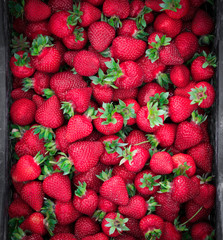 box of strawberries crobnik plan