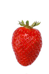 One large juicy strawberry on a white background
