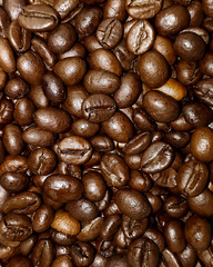 Coffee beans close shot