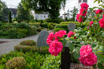flowers in the garden © Blende8
