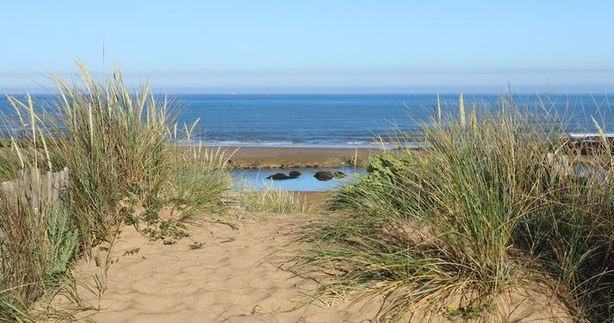 Chemin vers la Plage de la Paracou (Les Sables d'Olonne, Vend&eacute;e)