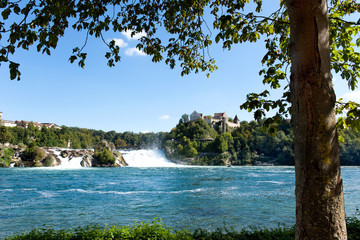 Rheinfall in der Schweiz