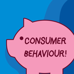 Conceptual hand writing showing Consumer Behaviour. Concept meaning Decisions that showing make to buy or not to buy a product Fat huge pink pig plump like piggy bank with ear and small eye