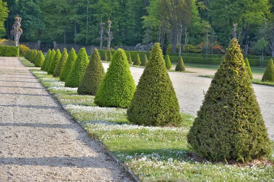 Row of perfectly trimmed triangular evergreen bushes and a path covered with natural stones, selective focus. Beautiful park with geometric green trees and pathways. Park design, cutting triangle bush