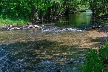 Мagnetic landscape of summer nature, green deciduous forest and river Iskar with small  waterfall in the Lozen mountain, Bulgaria, Europe  