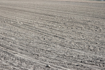 Naklejka premium tracks in sand