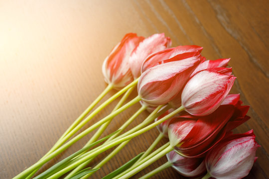 Bouquet of fresh red-white tulips lying on a wooden table. Sun toned image with copy space