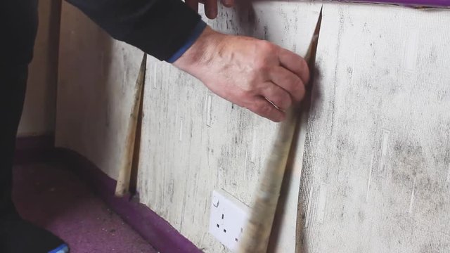 Old wallpaper, in a room with damp walls, being stripped by a DIY man from the wall prior to redecorating.