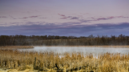 Early morning mist over the duck pond surrounded by cottontails and tall grasses