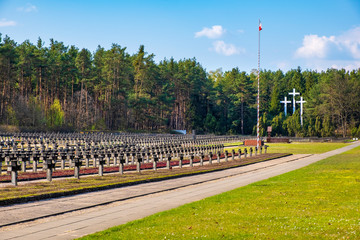 Palmiry, Poland - Panoramic view of the Palmiry war cemetery - historic memorial for the World War II victims of Warsaw and Mazovia - within the Kampinoski National Park