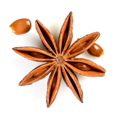 Star anise. Single star anise fruit with seeds. Macro close up Isolated on white square background with shadow, top view of chinese badiane spice or Illicium verum.