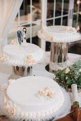 Wedding cake with funny figurines of groom and bride.
