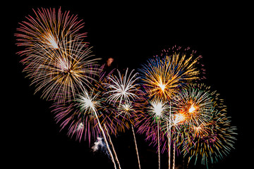 Fototapeta premium Firework display background for celebration anniversary