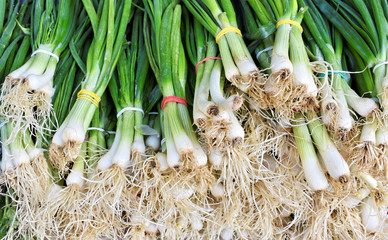 Bunch of fresh spring onion at the marketplace   