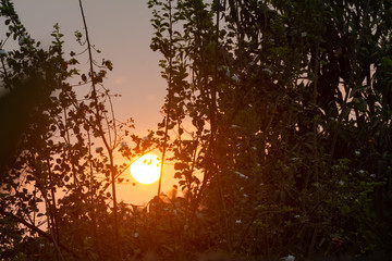 atardecer