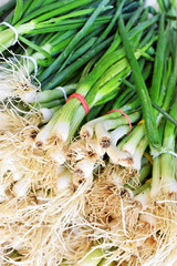 Bunch of fresh spring onion at the marketplace   