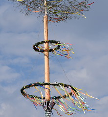 Maibaum mit im Wind wehendem, bunten Krepp 