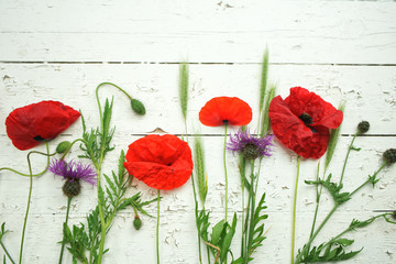 red poppies on a background