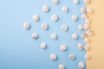 Summer texture pattern copy space seashell top view blue and yellow background