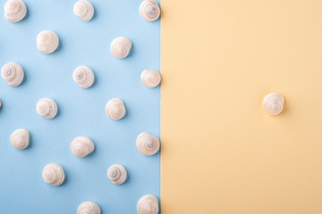 Summer texture pattern copy space seashell top view blue and yellow background