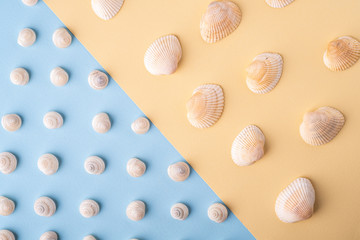 Summer texture pattern copy space seashell top view blue and yellow background