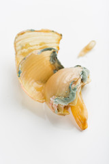 ugly onions with mold on white background