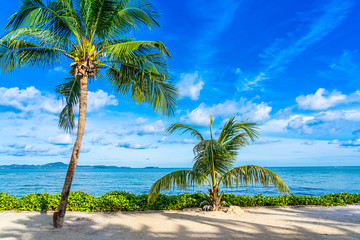 Beautiful landscape of beach sea ocean with coconut palm tree with white cloud and blue sky