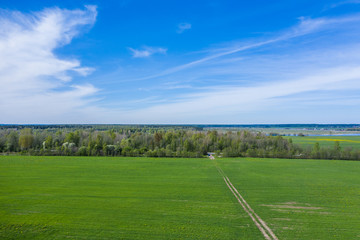 aerial view of green geometric agricultural fields in russia