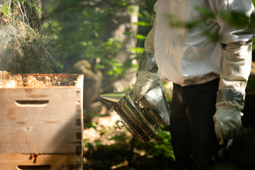 bee smoker