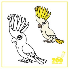 Cute cartoon parrot color and outlined on a white background  for coloring page