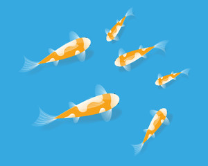 Fototapeta premium Vector Koi Fish in water - Vector