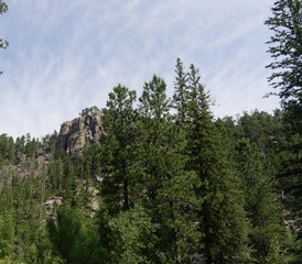 Fototapeta premium Piękna bujna przyroda z formacjami skalnymi i sosnami w Custer State Park w Dakocie Południowej.