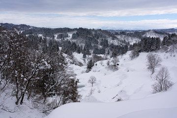 冬の棚田