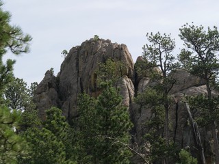 Close up of tall rock formations and scenic landscape along Needles Highway, Custer State Park, South Dakota.