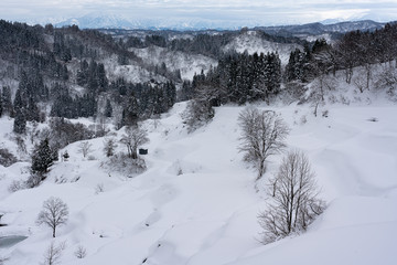 冬の棚田