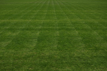 Football / soccer playground texture