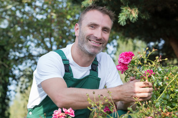 man gardener trimming and landscaping green bushes