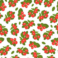 Lingonberry berries seamless pattern on white background. Wild berry with hand-drawn style. Vector illustration.
