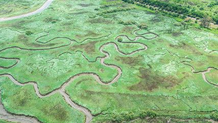 aerial view of serpentine marh