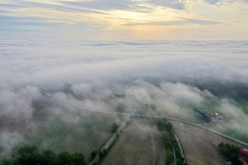 霧の空撮