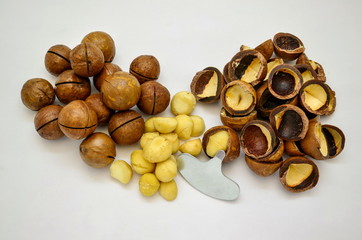 Macadamia nut. Kernels, shell, key, close-up, isolate white background