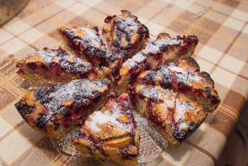 delicious home made cake with fruit