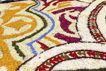 Multicolored floral carpet