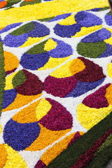 Fototapeta na wymiar Multicolored floral carpet